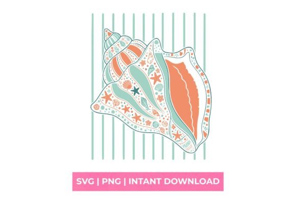 Boho Seashell Graphics for T-Shirt Designs